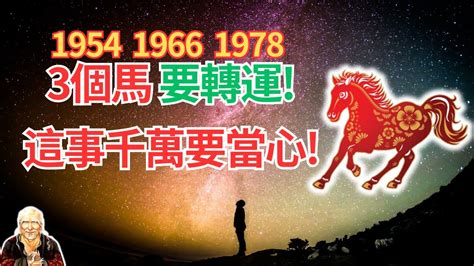 1978生肖馬|1978屬馬：命中註定富貴